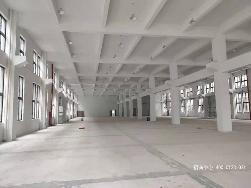 G2653 嘉兴海盐工业园区独门独院3栋三层厂房可分层出租 2000平起租 