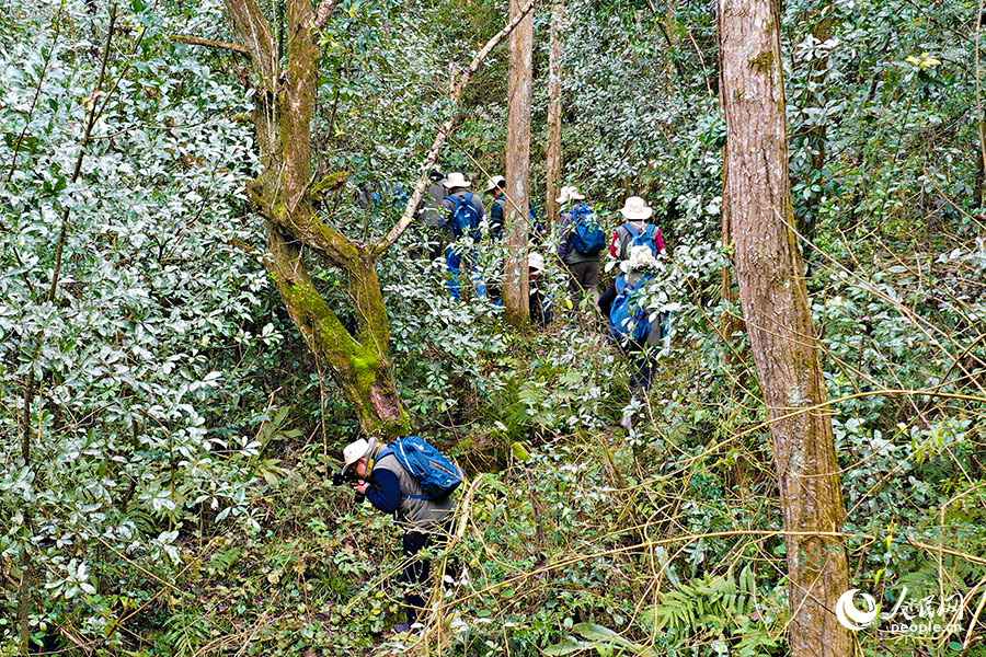 “關注森林·探秘武夷”生態科考首次走進武夷山國家公園西區